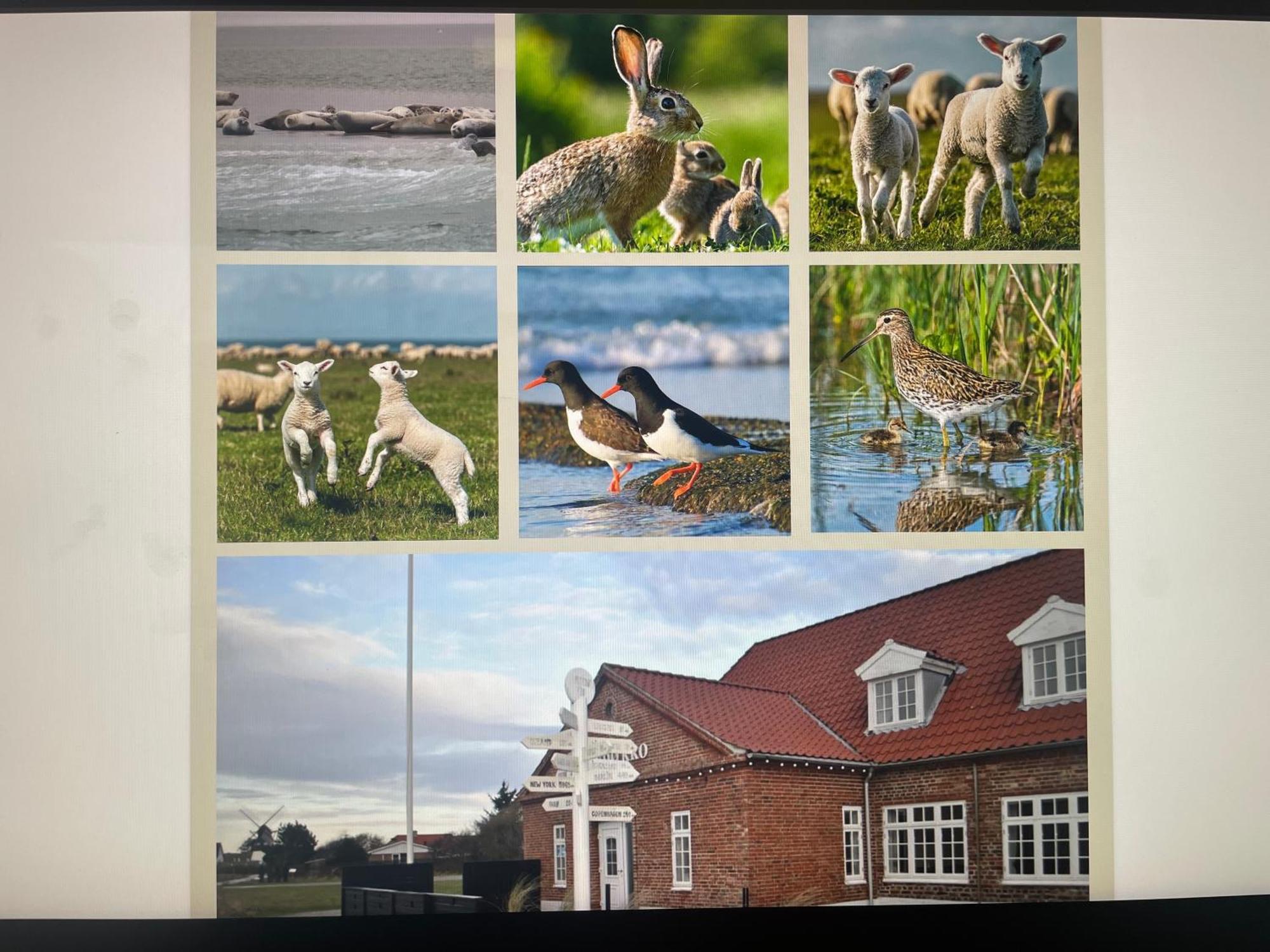 Mando Kro รีเบอ ภายนอก รูปภาพ